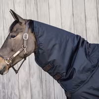 Kentucky Neck All weather Waterproof 150g Classic