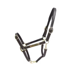 Kentucky Lädergrimma Flexibel