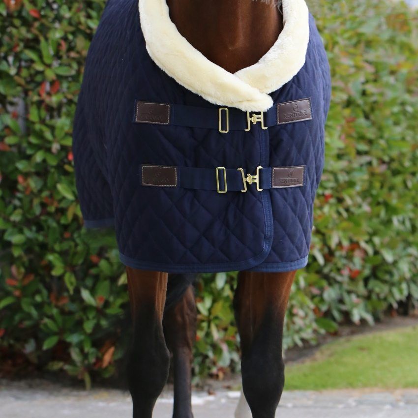 Kentucky Showrug 160 g