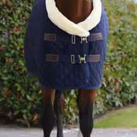 Kentucky Showrug 160 g