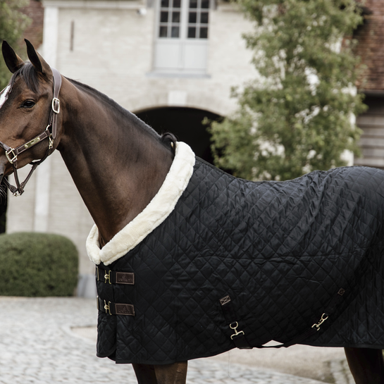 Kentucky Showrug 160 g