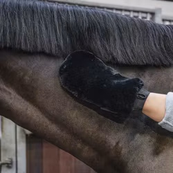 Grooming Delux Fårskinnshandske