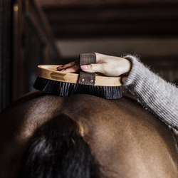 Grooming Delux Overall Brush Hard