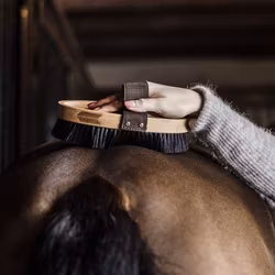 Grooming Delux Overall Brush Hard