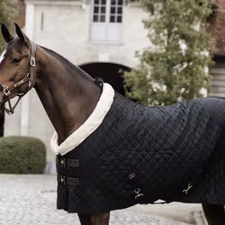 Kentucky Show Rug 160g