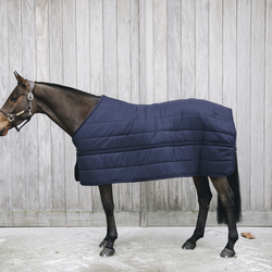 Kentucky Under Rug Skin Friendly 300G