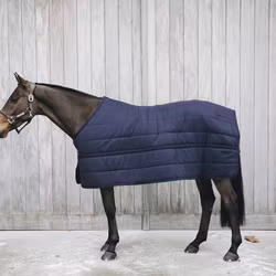 Kentucky Under Rug Skin Friendly 300G
