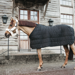 Kentucky Under Rug Skin Friendly 150G