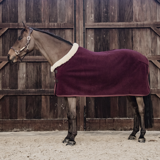 Kentucky Fleece Show Rug Heavy