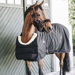 Kentucky BIB Winter