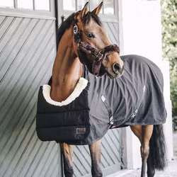 Kentucky BIB Winter