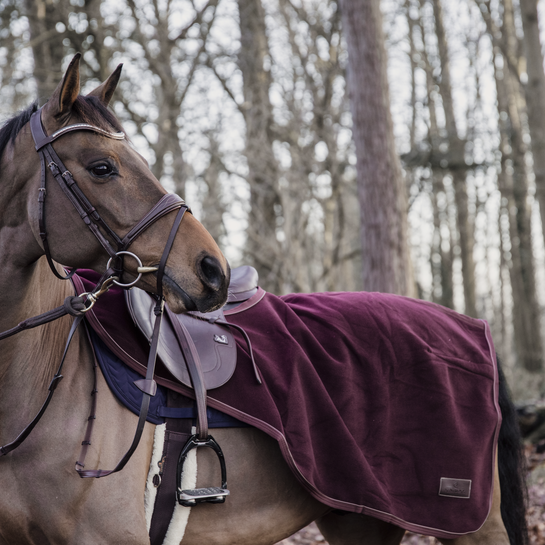 Kentucky Heavy Fleece Skrittäcke
