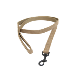 Kentucky koppel Lizard