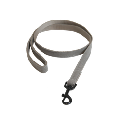 Kentucky koppel Lizard