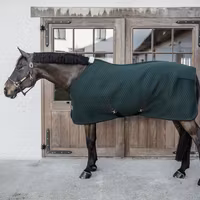 Kentucky 4D Spacer Cooler