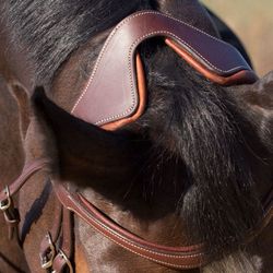Antares Precision Nackstycke