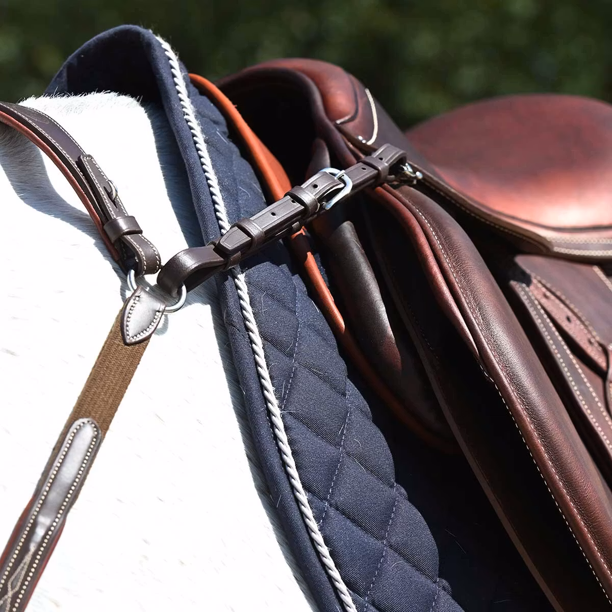 Antares Signature Förbygel