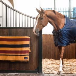 Dominick Stalltäcke 0G