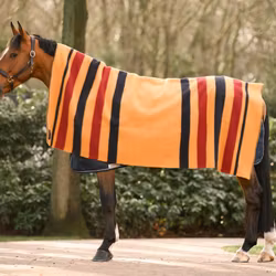 Dominick Golden Stripe Filt