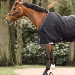 Dominick Stalltäcke 0G