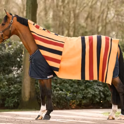 Dominick Golden Stripe Filt