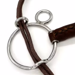 AJR Leather CurbGag