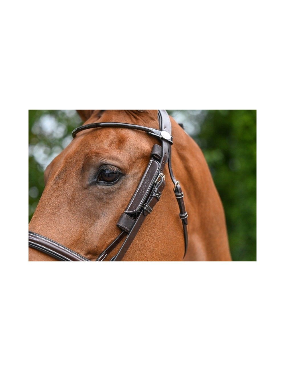 JumpIn Week Blinkers