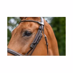 JumpIn Week Blinkers