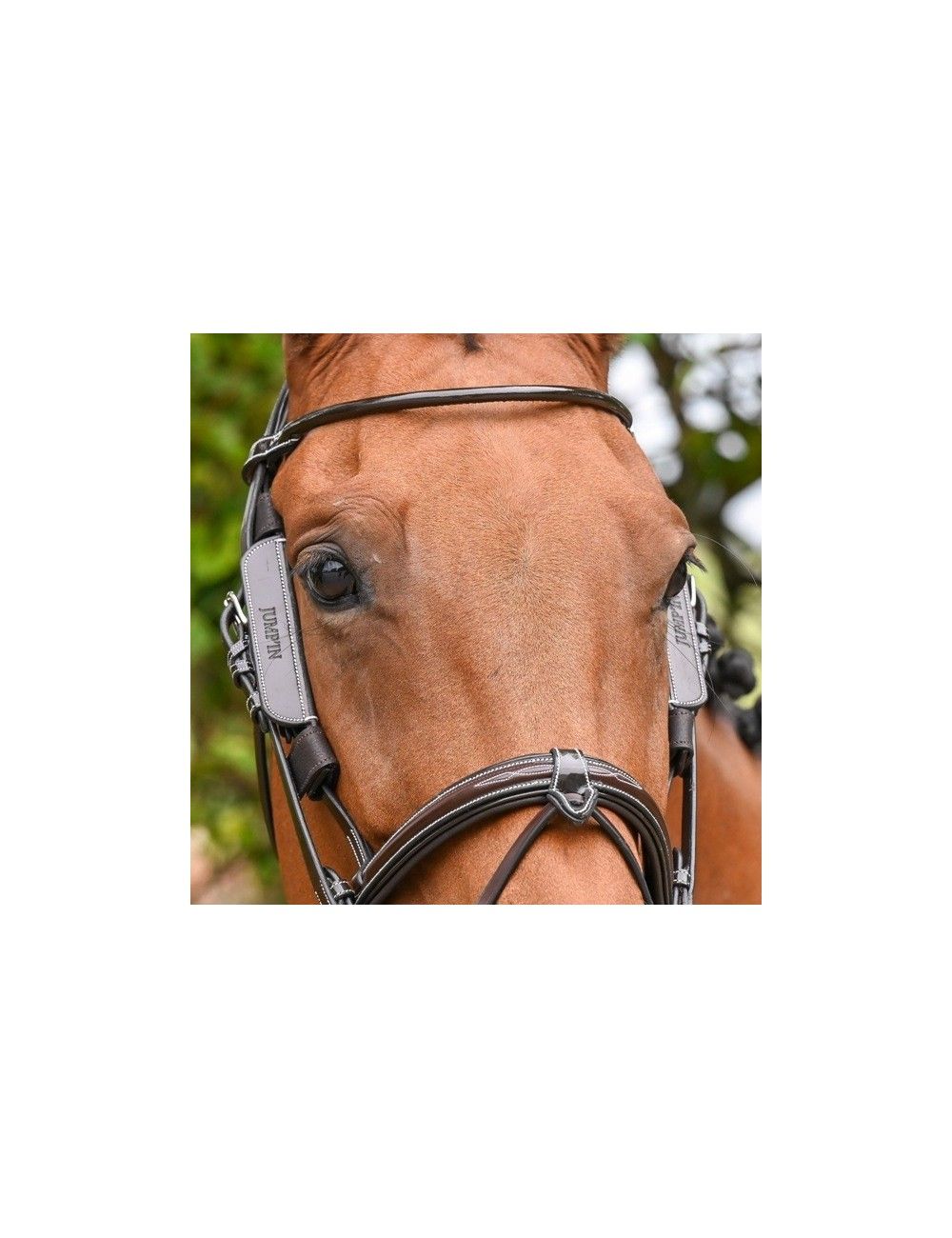 JumpIn Week Blinkers