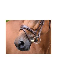 JumpIn One Bruxelles Nosgrimma