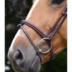 JumpIn Week Monday Nosgrimma