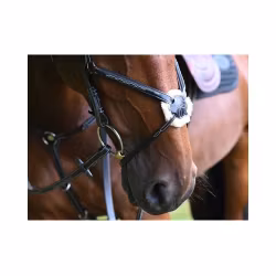 JumpIn Week Monday Nosgrimma