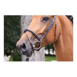 JumpIn Week Thursday träns med aachennosgrimma