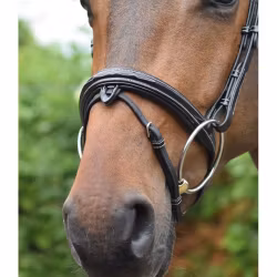 JumpIn Week Wednesday Nosgrimma