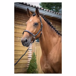 JumpIn One Groominggrimma