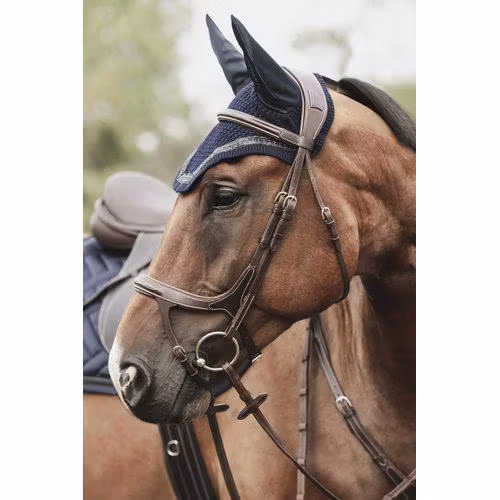 Källquist Träns Lippo Fazzino