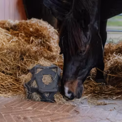 Kentucky Relax Horse Play & Hay Ball