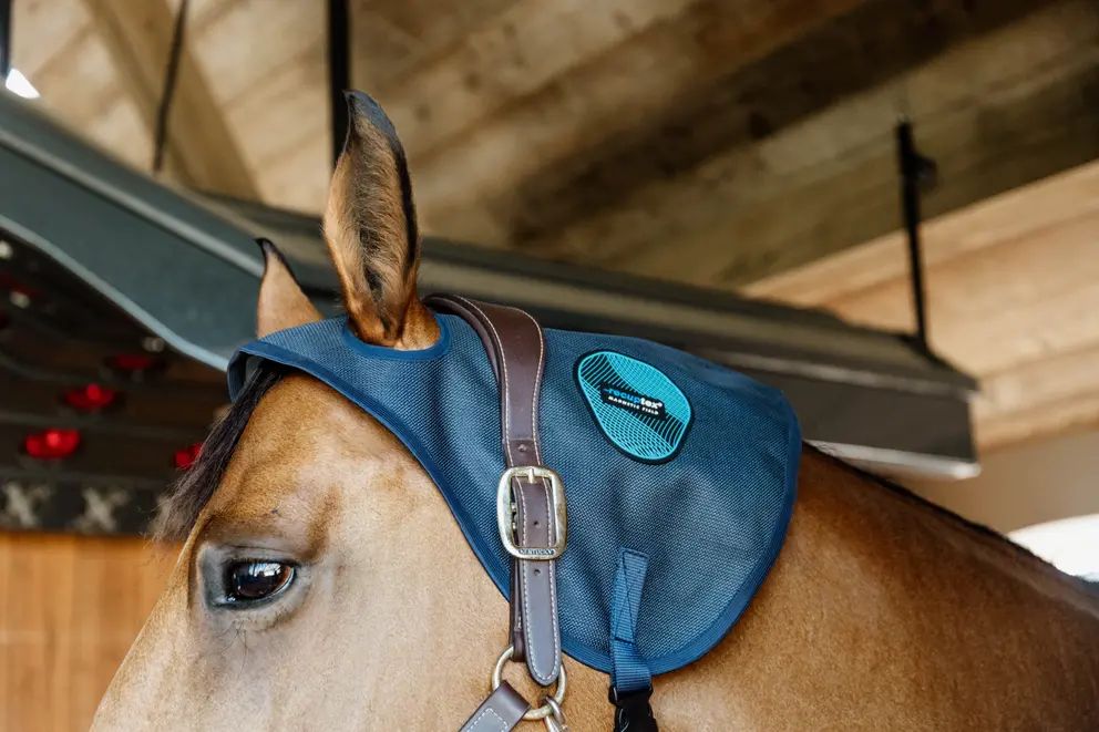 Kentucky Magnetic Neck Protector Recuptex
