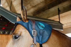 Kentucky Magnetic Neck Protector Recuptex