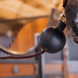 Kentucky Uppbindningsskydd Gummiboll