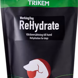 WorkingDog ReHydrate 400 g