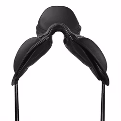 Prestige X-D2 2 K Free D