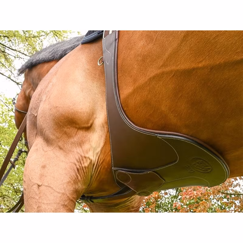 JumpIn One Elastic Stud Girth