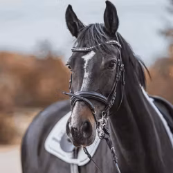 Dynamic RS Pelham 16 mm double jointed