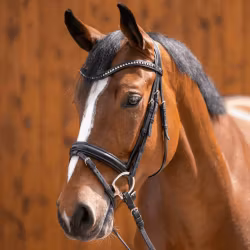 Dynamic RS Eggbutt bit with D-shaped rings 14 mm double jointed