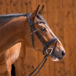 Dynamic RS Eggbutt bit with D-shaped rings 16 mm single jointed