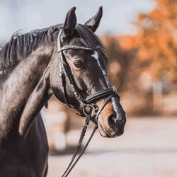 KK ULTRA Eggbutt bradoon 14 mm - Sensogan