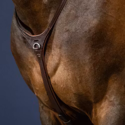 Dyon Yoke Halsrem för martingal N