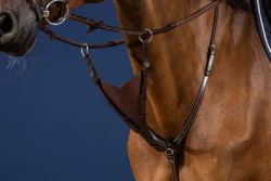 Dyon Kort martingal Bib soft U