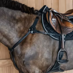 Dyon 5 pukts bröstskydd med resår N